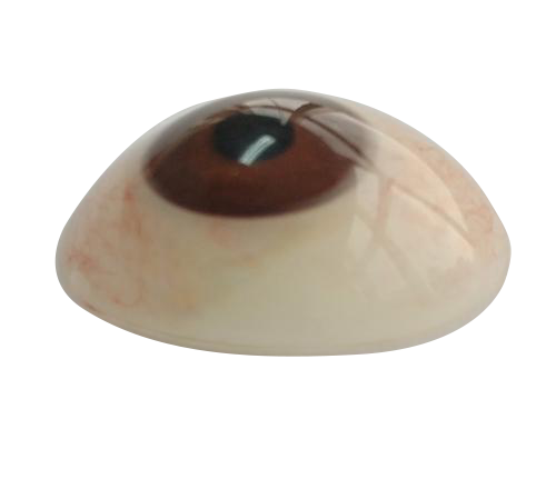 廊坊微雕义眼定制